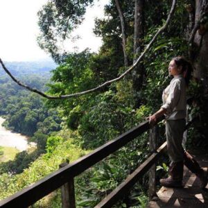 Viewing Point in Danum Valley