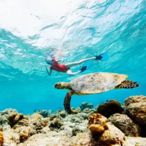 Guided snorkelling day tour in Kota Kinabalu, Sabah with Borneo Dream